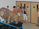 tour009.jpg